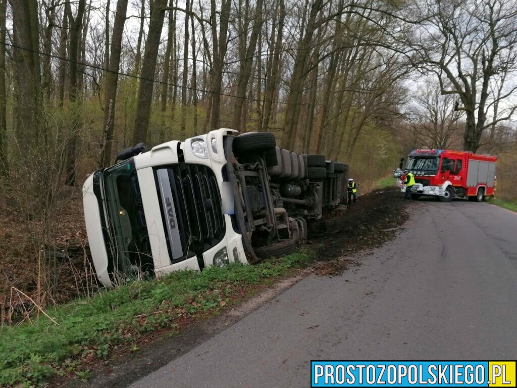 Wypadek ciężarówki z trzodą chlewną(160sztuk) w miejscowości Ciepielowice. Na miejscu 8 zastępów straży (Zdjęcia)