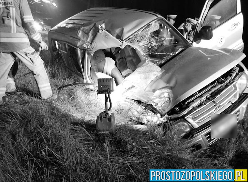 Wypadek śmiertelny w Opolu-Sławicach. Kierujący mitsubishi wjechał do rowu i uderzył w drzewo.(Zdjęcia)