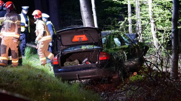 Kierujący audi uderzył w drzewo i uciekł z miejsca. Mężczyznę szuka policja.(Zdjęcia)