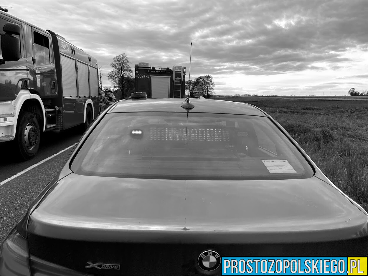Wypadek śmiertelny na DK42 w Starych Czaplach koło Kluczborka.