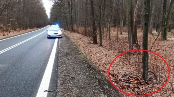 22-latek odpowie za spowodowanie wypadku i ucieczkę z miejsca. Mężczyźnie grozi kara nawet do 3 lat pozbawienia wolności.