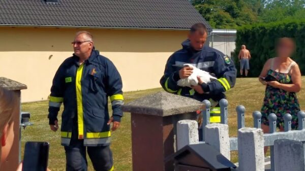 Młody bocian wypadł z gniazda ,na pomoc ruszyli strażacy.(Zdjęcia&Wideo)