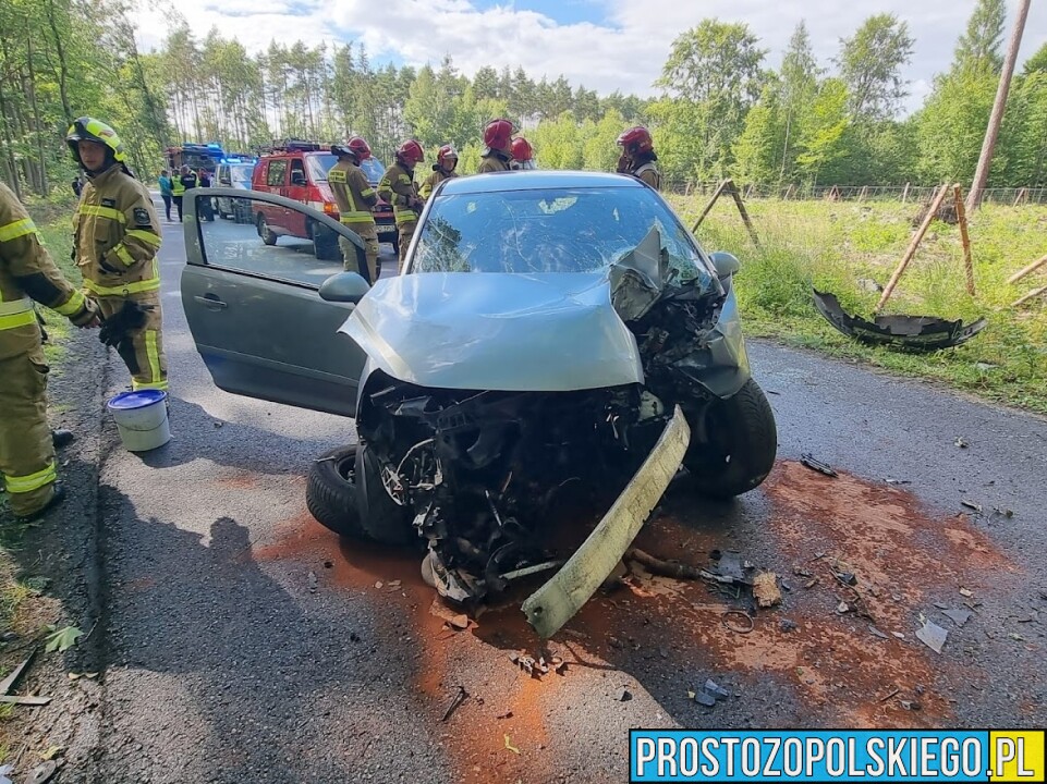 Wypadek na trasie Grabice-Radomierowice. Uderzenie było tak duże że z auta wyleciał sinik.(Zdjęcia)