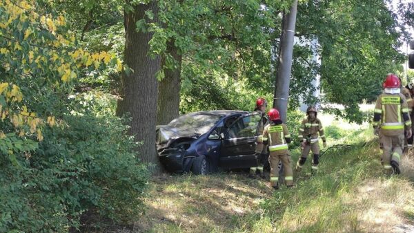 Kierujący autem z duża prędkością uderzył w drzewo w Chróścinie Opolskiej.(Zdjęcia)