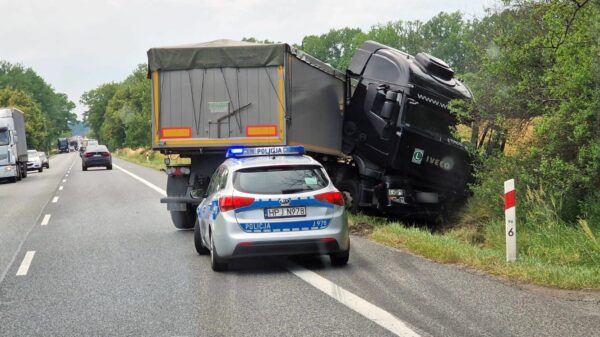 Ciężarówka wpadła do rowu i uderzyła w drzewo na DK46 w Dąbrowie.