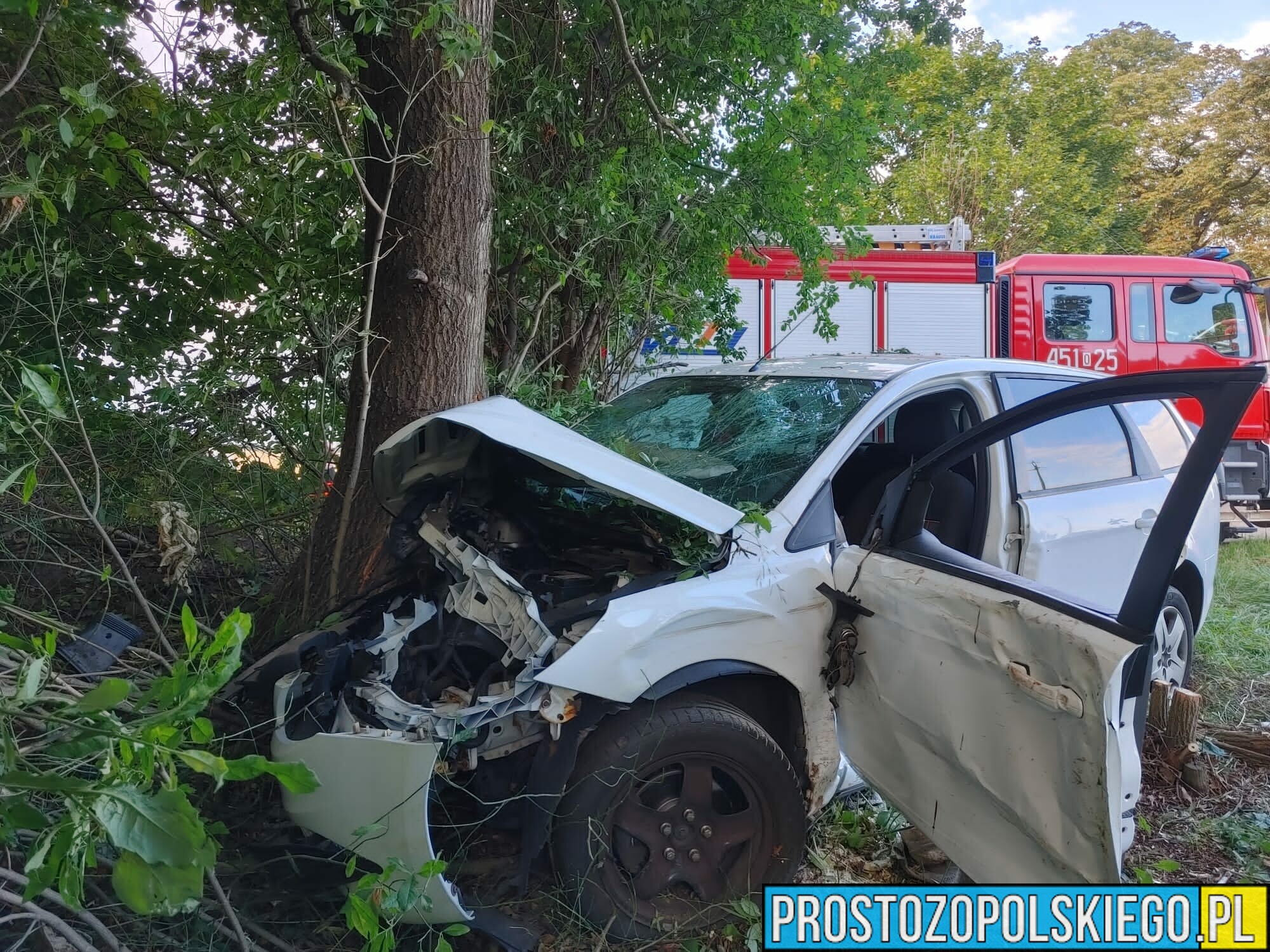 Kierujący autem wjechał w drzewo w miejscowości Jastrzębie w powiecie Namysłowskim.(Zdjęcia)