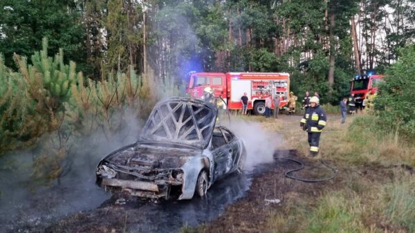 Toyota spłonęła w lesie obok niej leżał pijany kierowca w miejscowości Marszałki w gminie Turawa.(Zdjęcia)