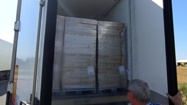 Inspektorzy z WITD zatrzymali kierowcę ciężarówki ,który przewoził transport lodów z Węgier.