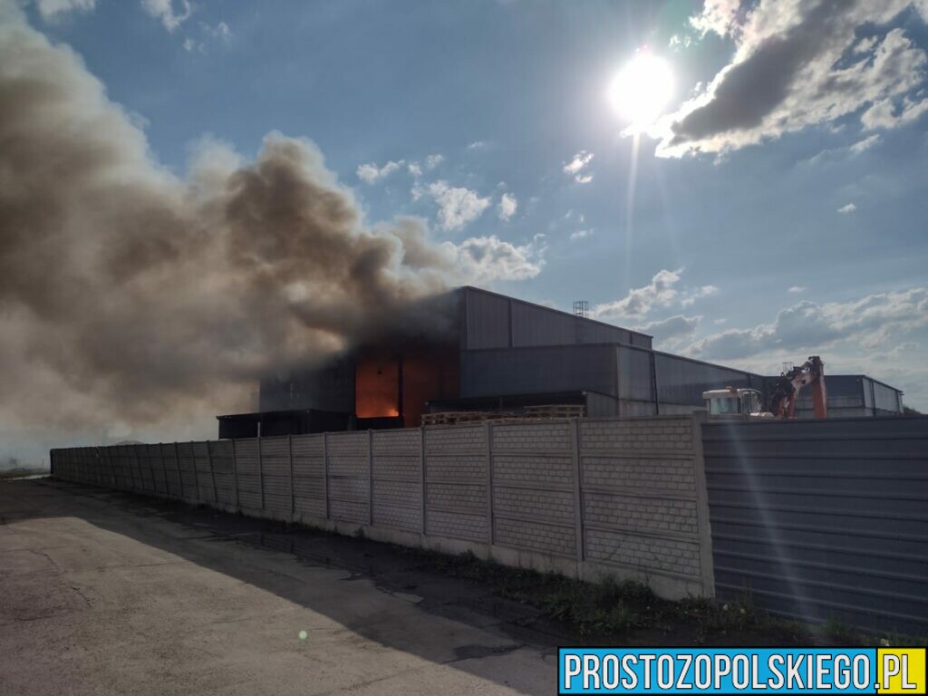 Pożar w zakładzie odzysku odpadów koło Brzegu. Na miejsce jadą zastępy straży z Opola i Kędzierzyna Kozła.(Zdjęcia)