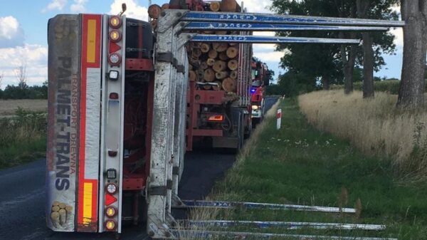 Duże utrudnienia na DW 462 pomiędzy Łosiowem a Janowem. Przewróciła się przyczepa ciężarówki przewożąca drzewo.(Zdjęcia)