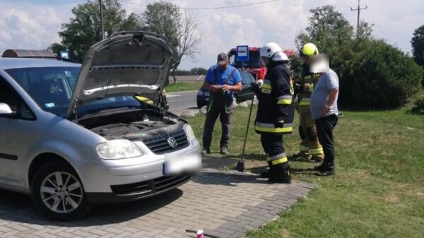 Strażacy z OSP uwalniali z auta zaskrońca.