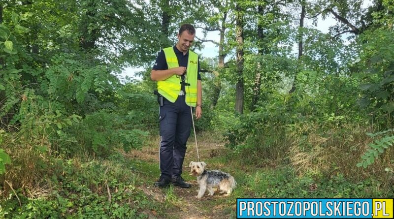 Krapkowiccy policjanci uratowali psa z rozgrzanego pojazdu