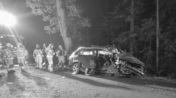 Wypadek śmiertelny w Ligocie Prószkowskiej koło Opola. Mężczyzna jechał autem z dwójką małych dzieci.(Zdjęcia&Wideo)