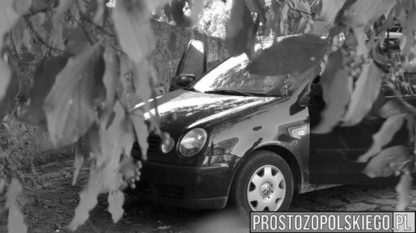 Spalone zwłoki kobiety na Górze św. Anny. Policjanci ustalili że to 36-letnia kobieta.