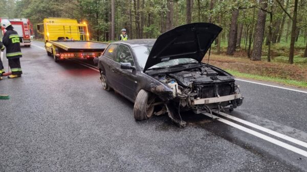 Kierujący audi A3 miał dużo szczęścia ,patrząc jak wygląda auto, które wpadło do rowu.(Zdjęcia)