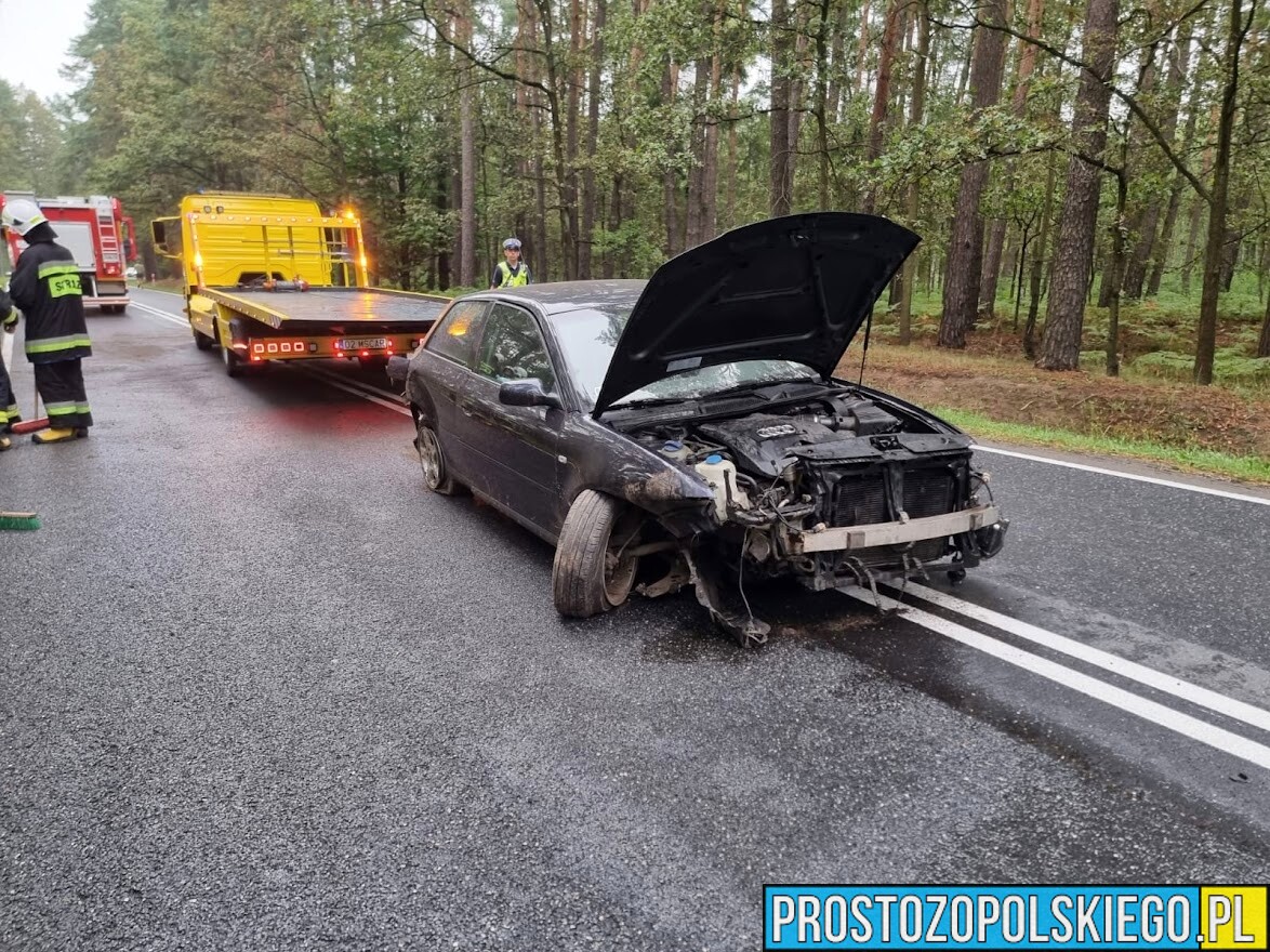 Kierujący audi A3 miał dużo szczęścia ,patrząc jak wygląda auto, które wpadło do rowu.(Zdjęcia)