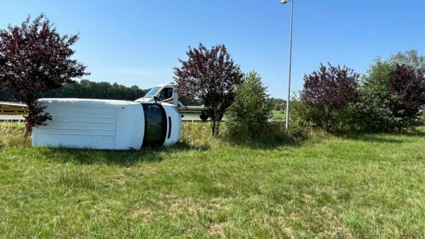 Wypadek busa w Krasiejowie. Zwierzę leśne wybiegło na drogę.(Zdjęcia)