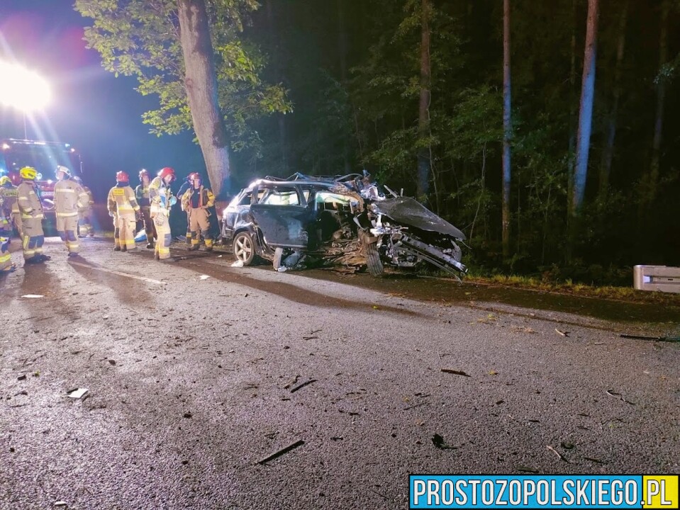 Wypadek śmiertelny w Ligocie Prószkowskiej koło Opola. Mężczyzna jechał autem z dwójką małych dzieci.(Zdjęcia&Wideo)