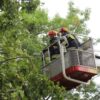 Ponad 200 interwencji strażaków na Opolszczyźnie. Połamane drzewa, zalane piwnice i uszkodzone auta.(Zdjęcia)