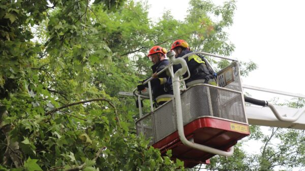 Ponad 200 interwencji strażaków na Opolszczyźnie. Połamane drzewa, zalane piwnice i uszkodzone auta.(Zdjęcia)