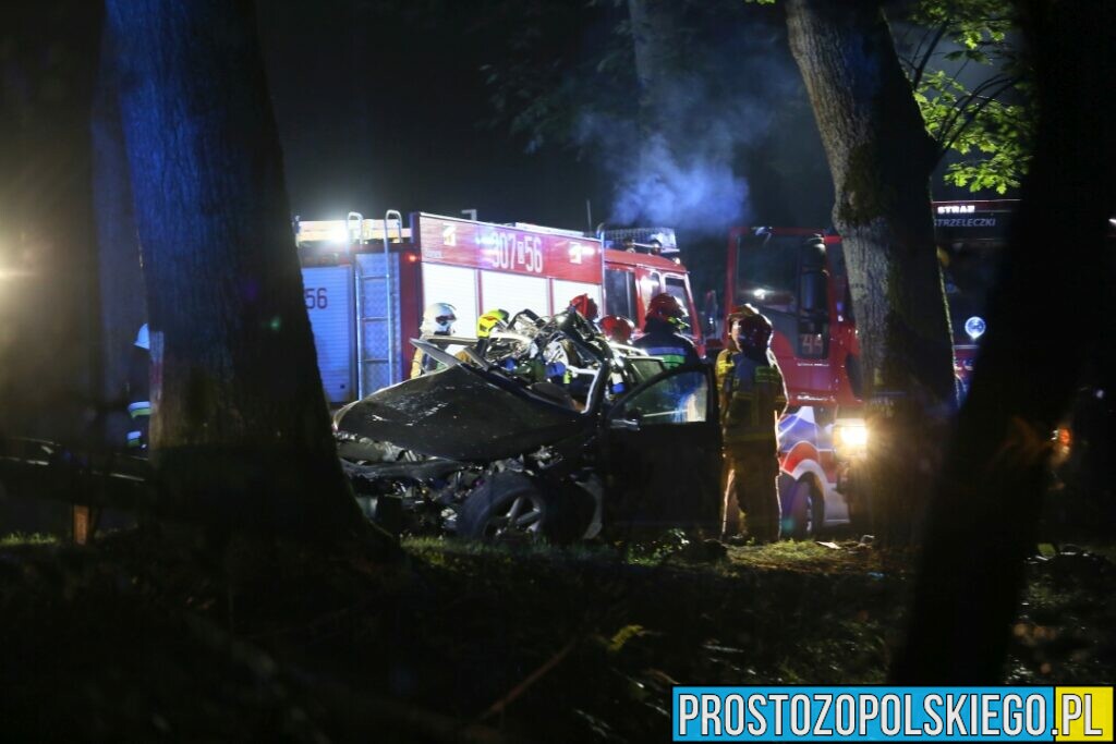 Wypadek śmiertelny w Ligocie Prószkowskiej koło Opola. Mężczyzna jechał autem z dwójką małych dzieci.(Zdjęcia&Wideo)