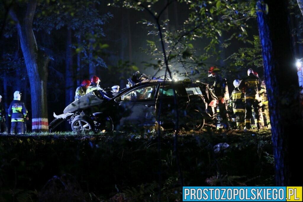 Wypadek śmiertelny w Ligocie Prószkowskiej koło Opola. Mężczyzna jechał autem z dwójką małych dzieci.(Zdjęcia&Wideo)