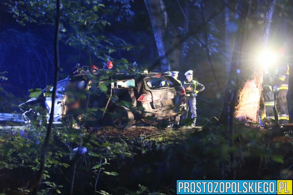 Wypadek śmiertelny w Ligocie Prószkowskiej koło Opola. Mężczyzna jechał autem z dwójką małych dzieci.(Zdjęcia&Wideo)