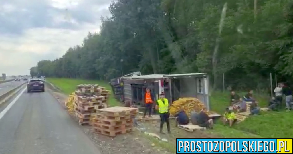 Utrudnienia na opolskim odcinku autostrady A4.TIR leży na pasie zieleni, który przewoził 24 tony ziemniaków.(Wideo)