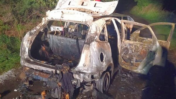 Auto zapaliło się w czasie jazdy. Z pomocą przybyli strażacy z OSP.(Zdjęcia)