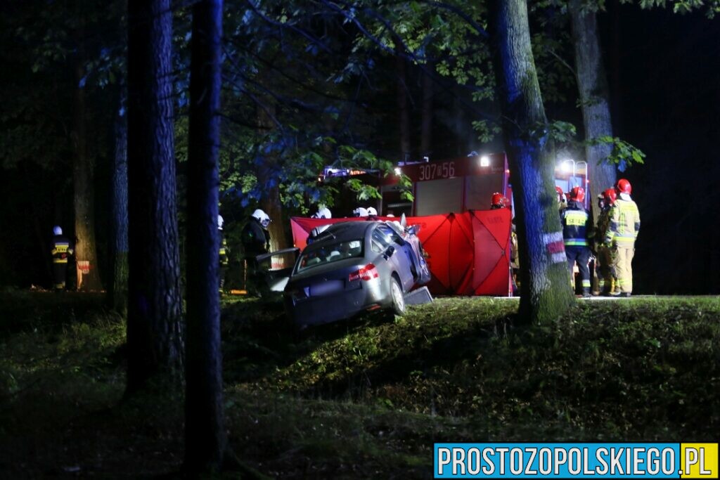 Wypadek śmiertelny w Ligocie Prószkowskiej. Kierujący autem uderzył w drzewo z którego wyleciał silnik.(Zdjęcia&Wideo)