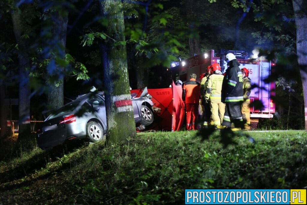 Wypadek śmiertelny w Ligocie Prószkowskiej. Kierujący autem uderzył w drzewo z którego wyleciał silnik.(Zdjęcia&Wideo)