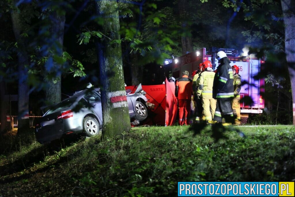 Wypadek śmiertelny w Ligocie Prószkowskiej. Kierujący autem uderzył w drzewo z którego wyleciał silnik.(Zdjęcia&Wideo)