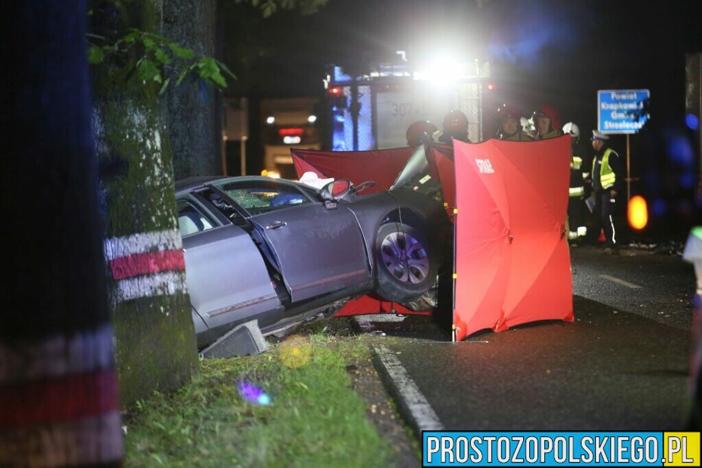 Wypadek śmiertelny w Ligocie Prószkowskiej. Kierujący autem uderzył w drzewo z którego wyleciał silnik.(Zdjęcia&Wideo)