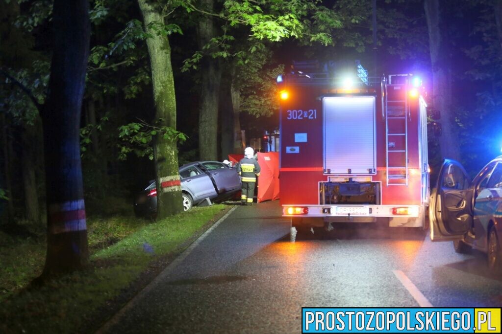 Wypadek śmiertelny w Ligocie Prószkowskiej. Kierujący autem uderzył w drzewo z którego wyleciał silnik.(Zdjęcia&Wideo)