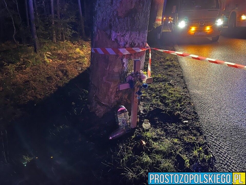 Wypadek śmiertelny w Ligocie Prószkowskiej. Kierujący autem uderzył w drzewo z którego wyleciał silnik.(Zdjęcia&Wideo)