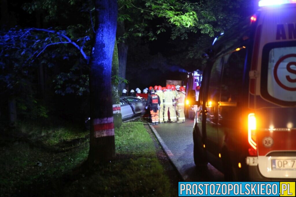 Wypadek śmiertelny w Ligocie Prószkowskiej. Kierujący autem uderzył w drzewo z którego wyleciał silnik.(Zdjęcia&Wideo)