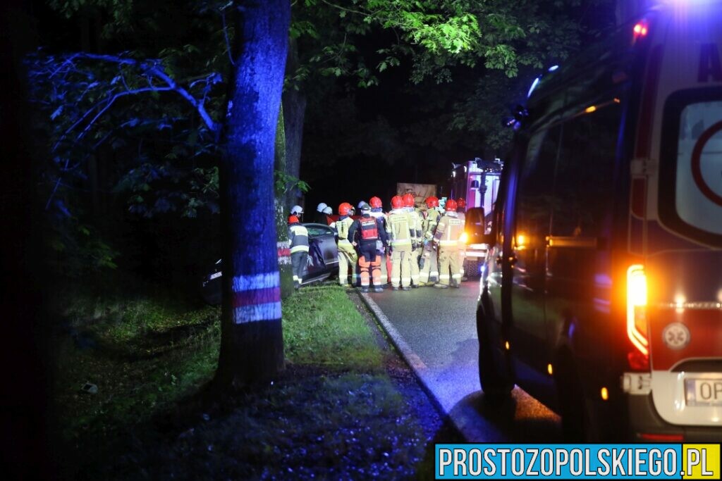 Wypadek śmiertelny w Ligocie Prószkowskiej. Kierujący autem uderzył w drzewo z którego wyleciał silnik.(Zdjęcia&Wideo)