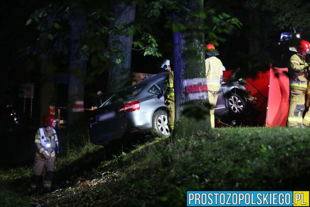 Wypadek śmiertelny w Ligocie Prószkowskiej. Kierujący autem uderzył w drzewo z którego wyleciał silnik.(Zdjęcia&Wideo)