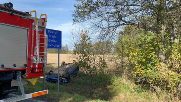 Dachowanie auta na DK40 na trasie Głuchołazy - Prudnik w miejscowości Wierzbiec.(Wideo)