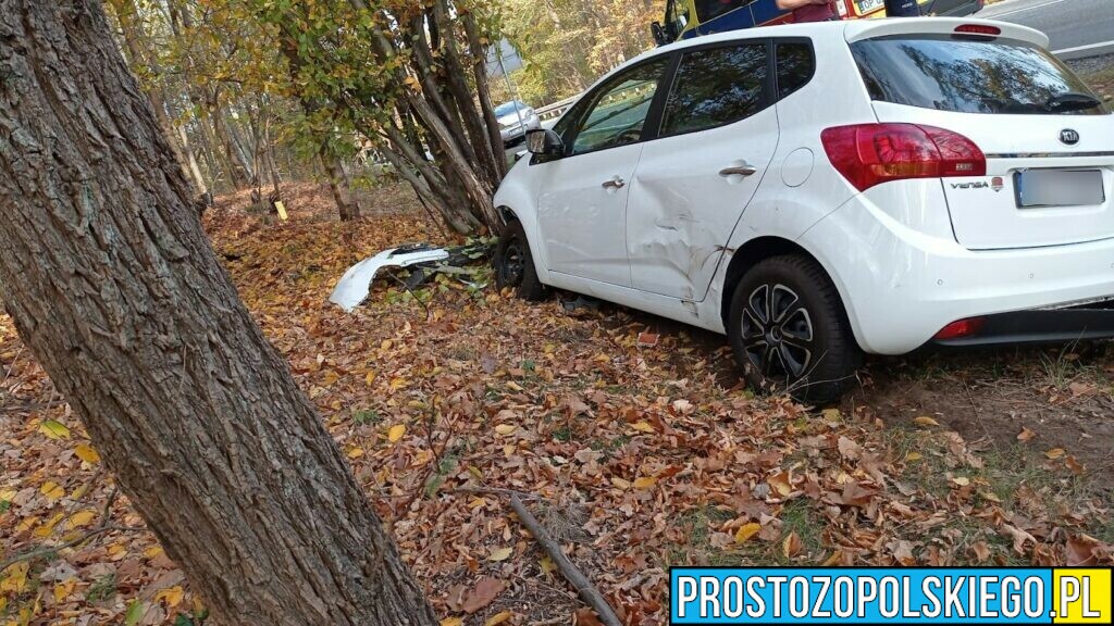 Wypadek na DK45 w miejscowości Jełowa. Samochód uderzył w drzewo.(Zdjęcia)