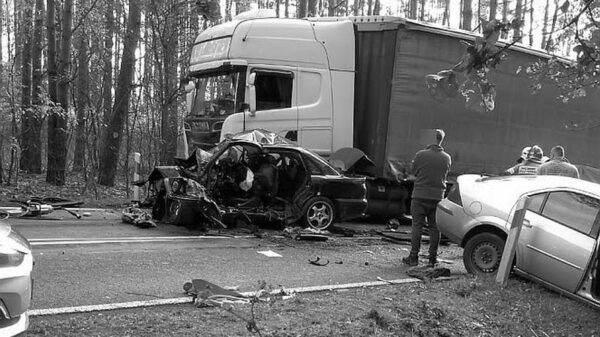Wypadek śmiertelny na DK39 w miejscowości Żaba w powiecie Namysłowskim. Na miejscu lądował LPR.(Zdjęcia&Wideo)