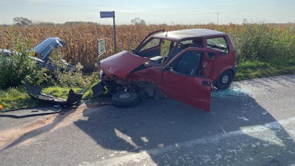 Wypadek w miejscowości Dziekaństwo koło Opola. Jedna osoba trafiła do szpitala.(Zdjęcia)