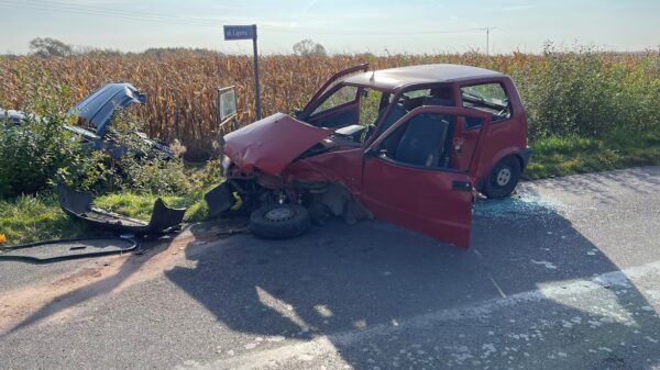 Wypadek w miejscowości Dziekaństwo koło Opola. Jedna osoba trafiła do szpitala.(Zdjęcia)