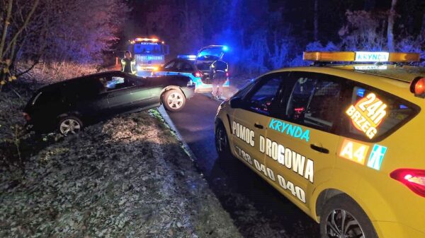 BMW wylądowało w rowie. 37-latek miał prawie 3 promile, a jego mama nie była w stanie dmuchnąć do alkosensora. (Zdjęcia)