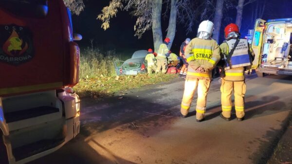 Wypadek w Ciepielowicach. Auto uderzyło w drzewo do szpitala trafiły trzy osoby.(Zdjęcia)