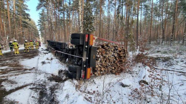 Ciężarówka przewożąca drewno przewróciła się w lesie.