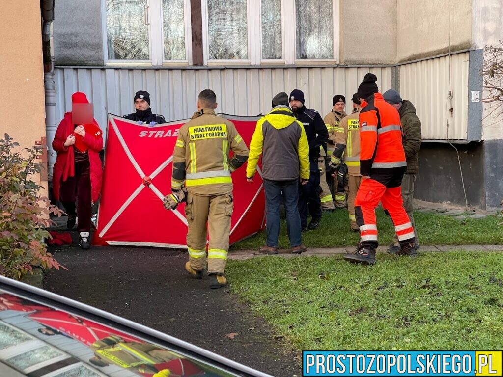 Przykre zdarzenie na osiedlu Koszyka w Opolu.