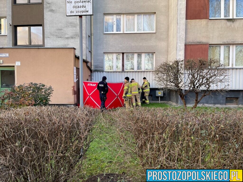 Przykre zdarzenie na osiedlu Koszyka w Opolu.