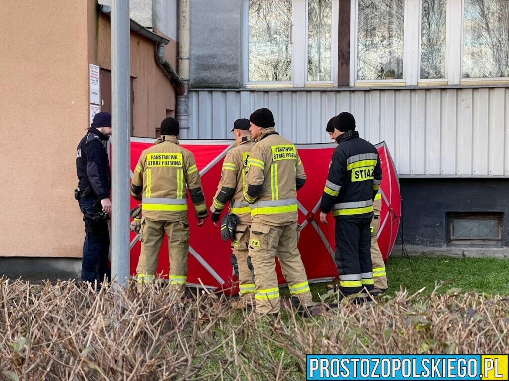 Przykre zdarzenie na osiedlu Koszyka w Opolu.