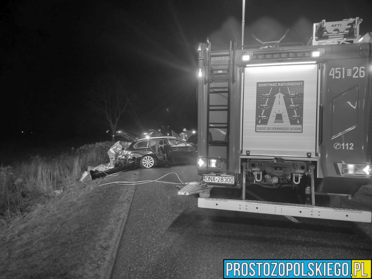 Zderzenie BMW z ciężarówką na DW451 w miejscowości Wilków koło Namysłowa. Jedna osoba nie żyję